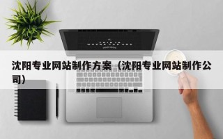 黔南沈阳专业网站制作方案（沈阳专业网站制作公司）